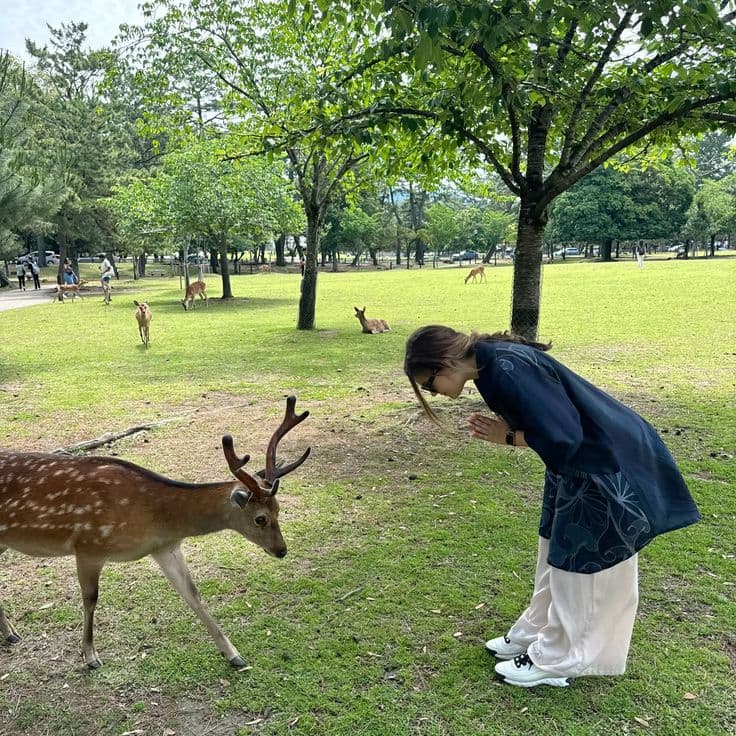 Программа Киото (3 ночи) - Токио (4 ночи)